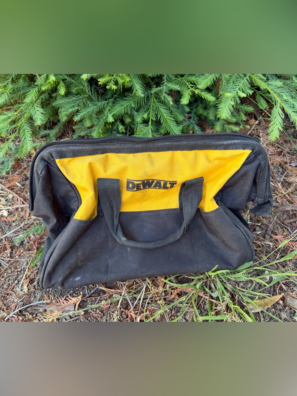 Dewalt Tool Bag